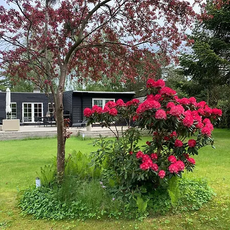 Charmigt Och Barnvänligt Sommarhus Semesterbostad *